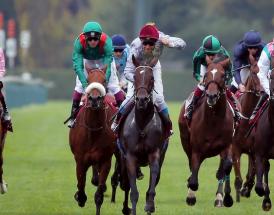 Horse Racing Betting Free Tips