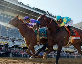 Best Horse Racing Bets