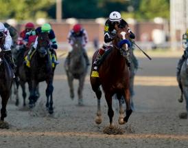 Ayr Gold Cup