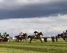Trends Cleeve Hurdle race