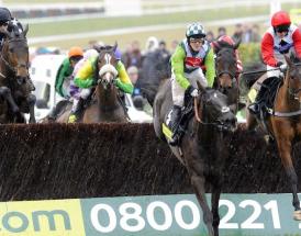 Newbury Denman Chase statistics