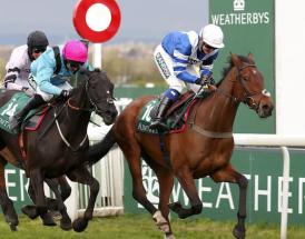 Dublin Racing Festival Novice Hurdle Trends