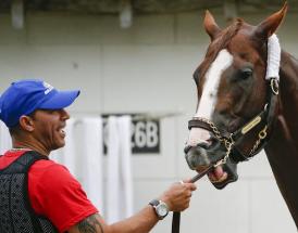 Horse Racing Bridle