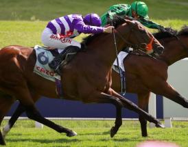 Horse Racing Tips Friday 24th June