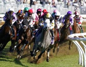 Horse Racing Tips Thursday 23rd June