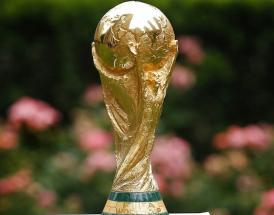 How to run a World Cup sweepstake 2022