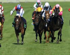 Racing at The Curragh