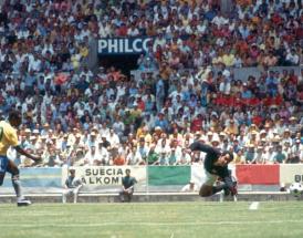 Pele goal 1958 World Cup