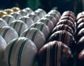 Different cricket balls