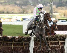 Lossiemouth is favourite for the 2024 Mares Hurdle