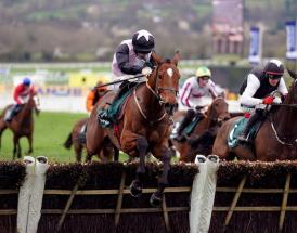 Teahupoo wins 2024 Stayers Hurdle and is favourite for next year's race