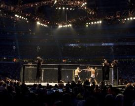 UFC Octagon ring