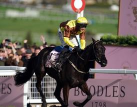Gold Cup trends for Cheltenham 2025
