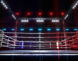 Biggest fights Boxing December 2025