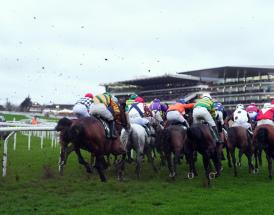 Cheltenham horse racing