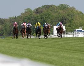Royal Ascot Coronation Stakes