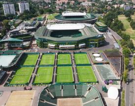 Most Wimbledon men's titles