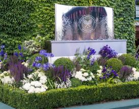 Wimbledon women's title winners