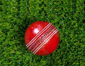 cricket ball