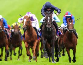 Horse racing betting guide