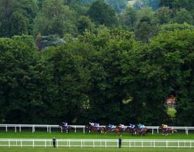 Biggest racecourse attendances and capacity