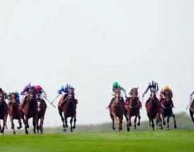 National Racehorse Week