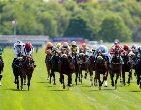 York Ebor Festival Prize Money