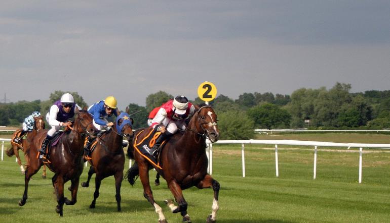 Royal Ascot 2019 What Next For Winning Horses Tips Odds