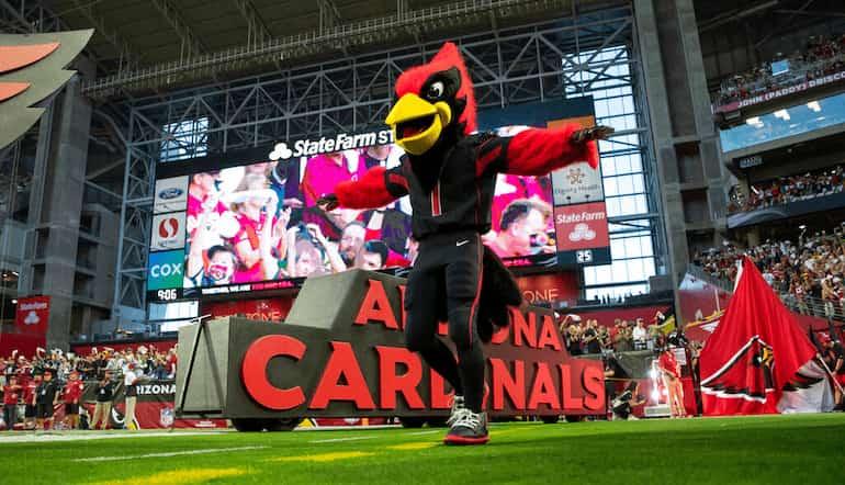 NFL Mascots – Ranking Every Mascot In The League