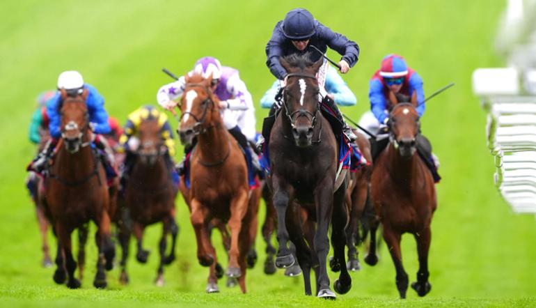 Goffs Million at Curragh