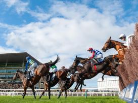 Cheltenham jumps racing