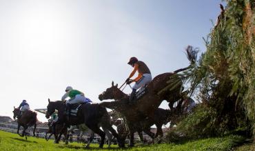 Virtual Grand National 2020 - Horse Racing Tips Aintree