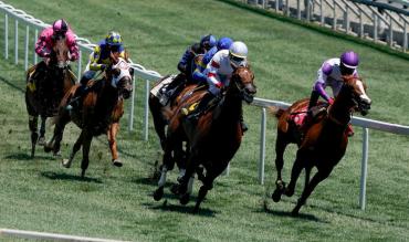 Different types of horse racing