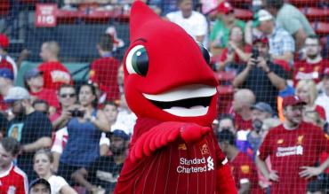 Mighty Red is the LFC Mascot