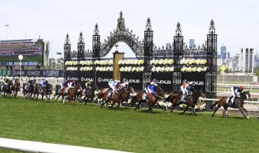 Melbourne Cup tips, trends and stats