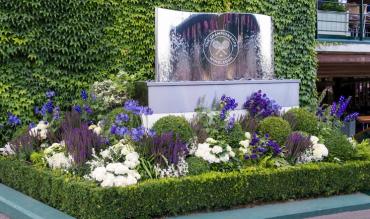 Wimbledon women's title winners