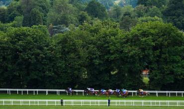 Biggest racecourse attendances and capacity