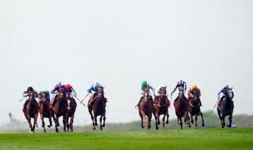 National Racehorse Week