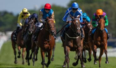 Nicky Henderson horses to follow