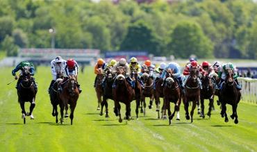 Willie Mullins stable tour