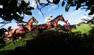 JP McManus Horses To Follow