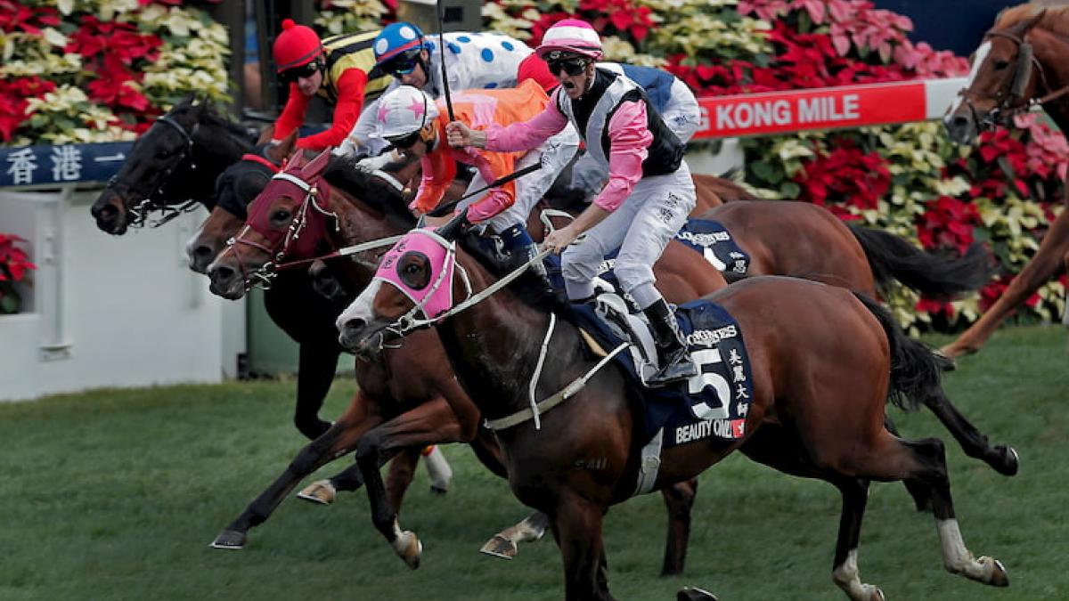 International Horse Racing With 888sport | Horse Racing Tips