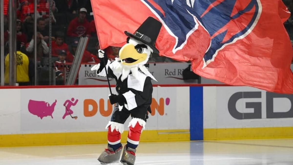 List of NHL mascots - Wikipedia