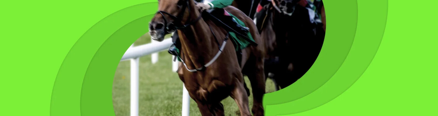 PromoLobby_1500x400_epsom25
